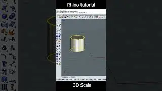 3d scale 