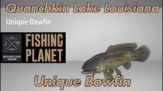 Unique Bowfin - Quanchkin Lake Louisiana - Fishing Planet Guide