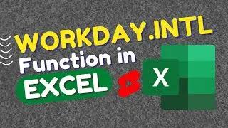 Amazing Workday international Formula | workday.intl function in excel