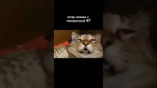 когда лежишь с температурой 41° 