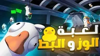 لما يجيلك الغدر من اقرب بطة ليك صريخ ضحك 😂😂🔥 l goose goose duck l