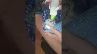 у нас пополнение🤗❤ Какие-то изверги выбросили 4х маленьких котиков на улицу, всех СЛАВА БОГУ разобр.