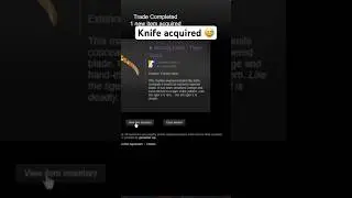 From (almost) nothing to a cs2 knife 🤯