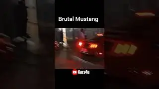Stang Street Burnout🤯🐎💨#mustang #mustanggt #street #burnout #v8 #power