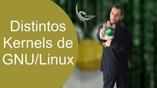 Las Diferentes Versiones del Kernel de Linux: Como Elegir el Adecuado
