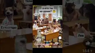 Гороскоп 😂