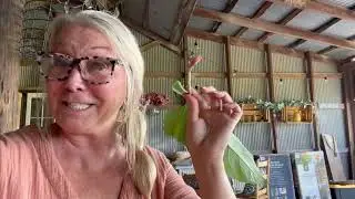 This is one of the BEST!| Foraging made Easy!