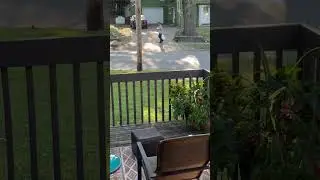 First Amendment Audit on neighborhood Crackhead. Will he respect my right to bum a hit in public?