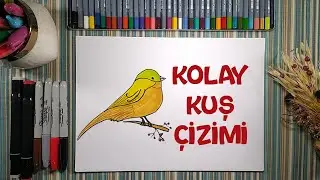Çok Kolay Kuş Çizimi | Çizme ve Boyama | Çocuklar İçin Resim Çizme