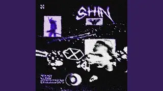 shin