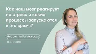 Что происходит с нами, когда возникает стрессовая ситуация?