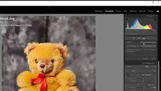 FotokursKalmar.se - Adobe Lightroom Classic v11 okt 2021