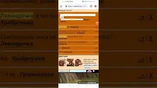 Базарю в CatWar/Я в Грозовом племени!