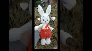 зайка