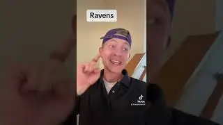 The AFC North