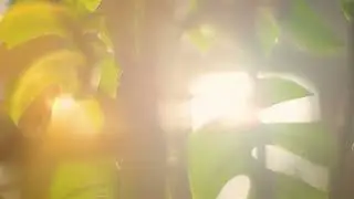 "Dream Lens" 50/0.95 video footage sample (stabilized)