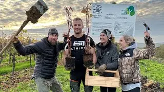 Über 2.500 neue Bäume! - Die große Baumpflanzaktion | Mission: Wald