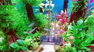 Boxtech Aquarium Shrimp Feedig Tube Kit