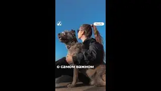 О самом важном