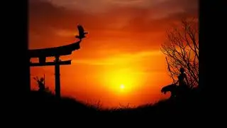 Schiller - Ruhe (Summer in Berlin 2021) Victory of the Light 💎 1 Photo