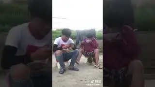 Укусила за яйца