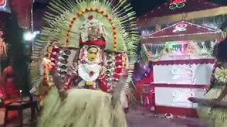 Guliga Panjurli-3 2017