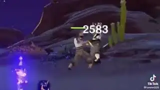 Npc damage 👀👀