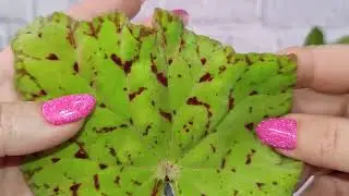И снова распаковка!