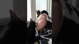 Kissaterapiaa 🐈‍⬛💖✨