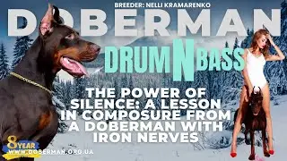 The Power of Silence: A Lesson in Composure from a Doberman with Iron Nerves