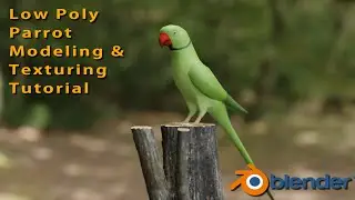 Low Poly Parrot Modeling and Texturing Tutorial in Blender 2.93