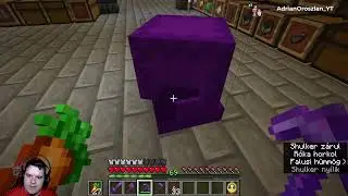 Minecraft a csapattal #54
