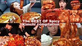 The BEST of Korean Spicy Kimchi ASMR Real Mukbang (compilation)