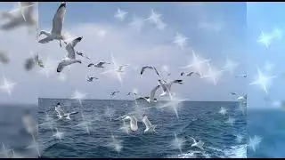 Гусейн Манапов - Чайки не кричите
