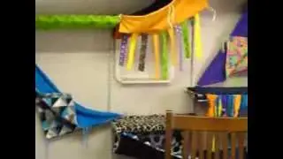 New Cat Playroom
