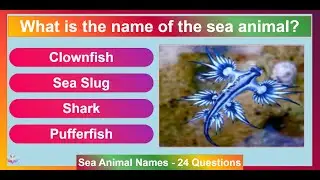 Sea Animal Names Part 2 | 25 Questions Quiz