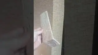 Что делать, если кошка разодрала все углы в доме