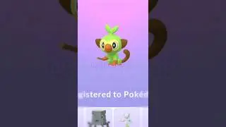 Grookey debut in pokemon go || Galar region starter pokemon #anime #gaming