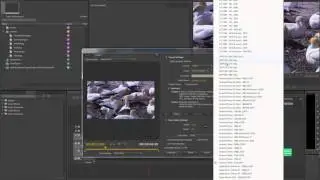 Adobe Premiere Pro CS6 Tutorial: Exporting