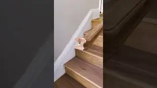 Guardrail / handrail installation 👉 Gpr3carpentry🔨 #carpentry #tips #viral #tools #construction
