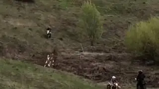 Только вверх!