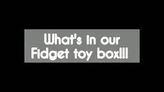 What's in our FIDGET TOY BOX!!!