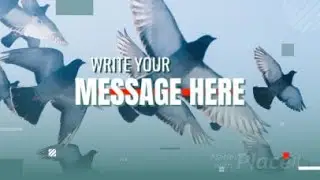 Slideshow Video Maker for an Online Conference Featuring Animated Transitions