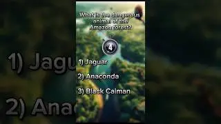 What is the dangerous animal of the Amazon forest? #short