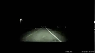 Bird Crash into my car June 2017