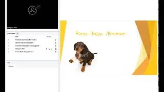 Раны. Виды. Лечение.