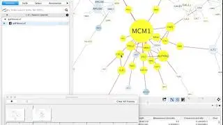 Animation in Cytoscape