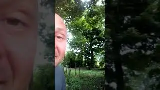 Маточники Пасека Тульские Земли