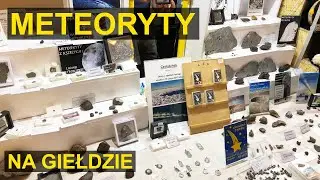 Meteorites at the Mineral Expo (Warsaw Mineral Expo 2023)