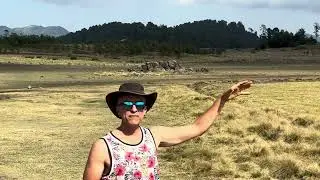 Monarcas Landing Zone